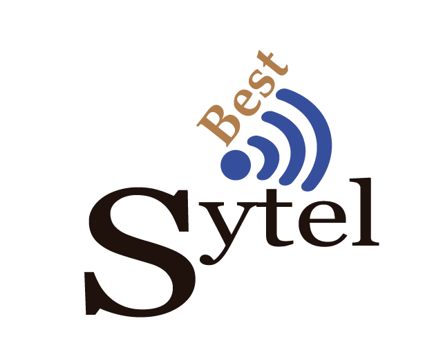 SoftSytel Logo